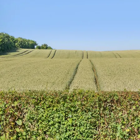 Scenic House On East Funen 200m From The Belt Holiday home *